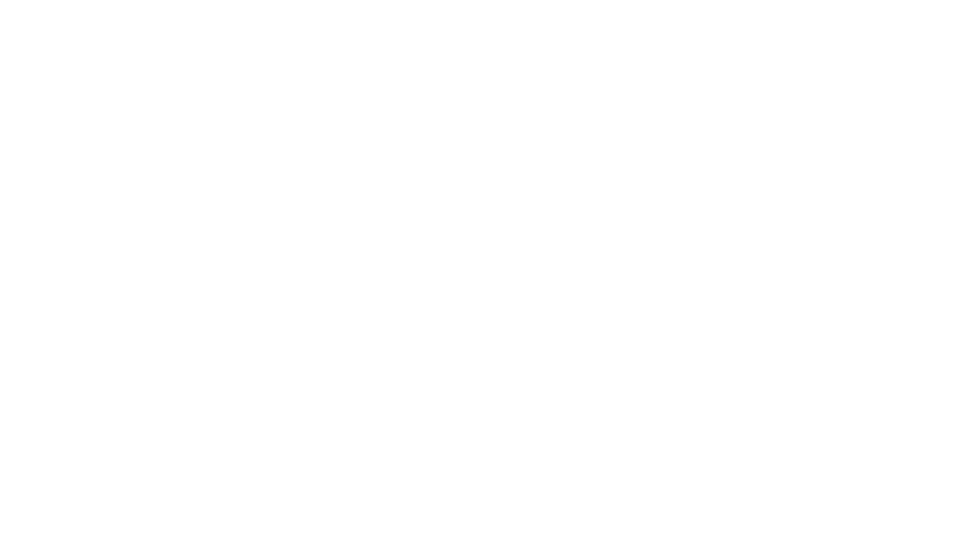 wild-bunch